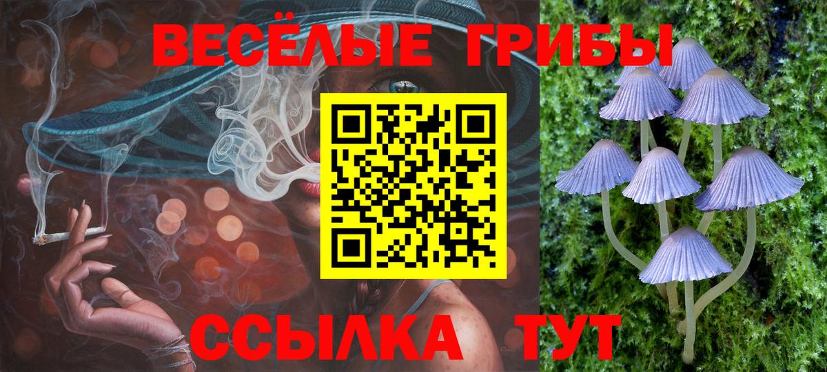 Псилоцибиновые грибы GOLDEN TEACHER Брянск