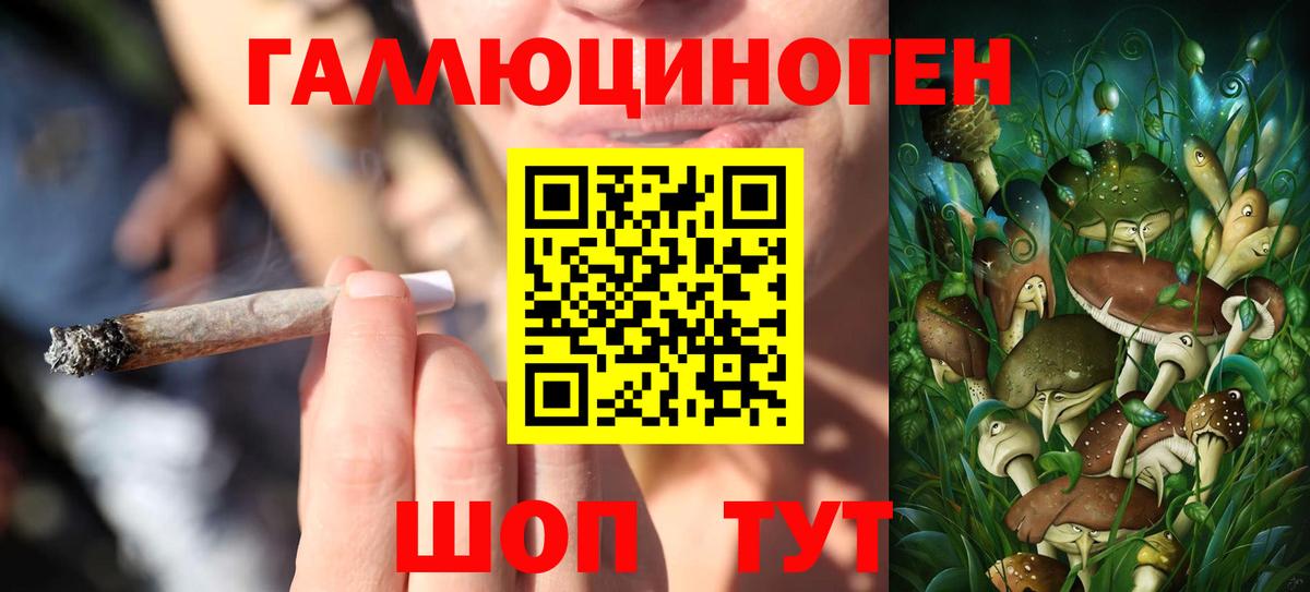 Галлюциногенные грибы Magic Shrooms  хочу   Брянск  Вход с VPN 